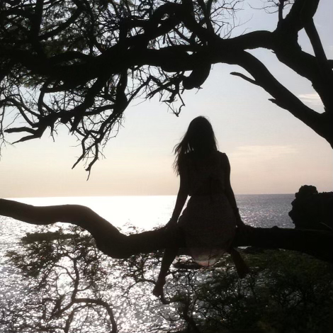 Monkeypods Productions making movies in Hawaii